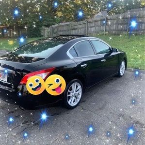 Meet your Posher, Querubin